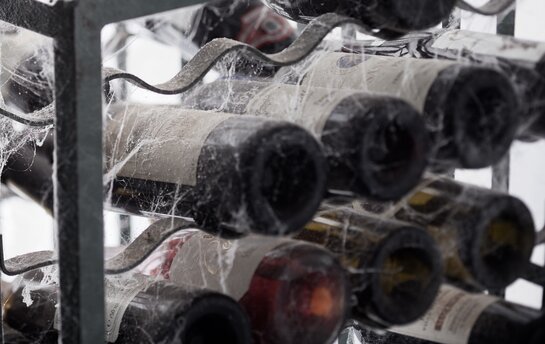 Ein Weinregal mit verstaubten Flaschen, umgeben von Spinnweben.