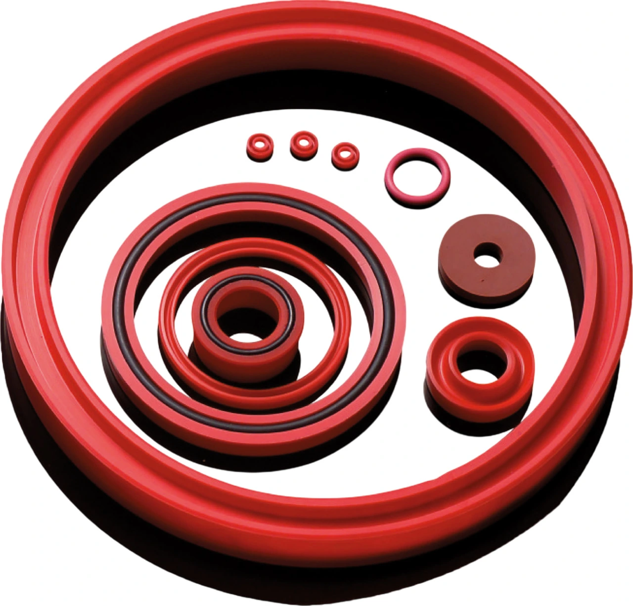 Verschiedene Rote Dichtringe
